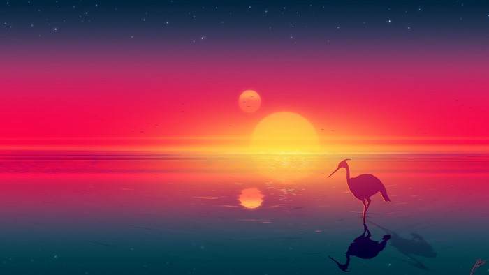 Heron silhouetted against a double sunset over the ocean
