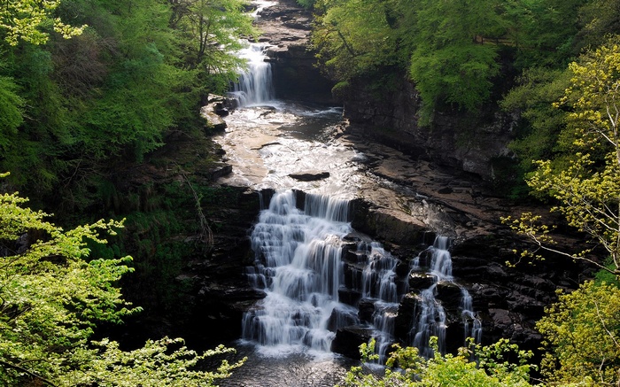Waterfall cascading through a rocky gorge with lush green trees