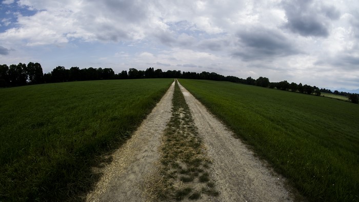 Dirt road through green fields under cloudy sky