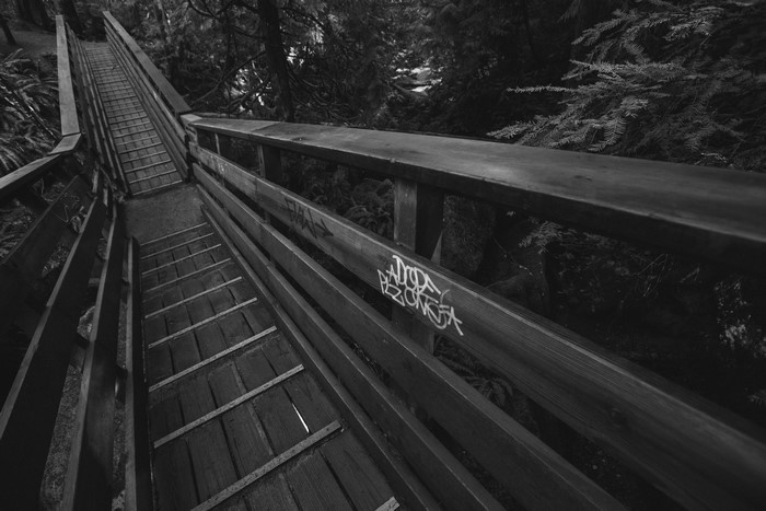 Monochrome wooden bridge and stairs in forest