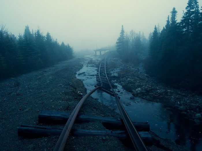 Abandoned railway tracks in a misty forest
