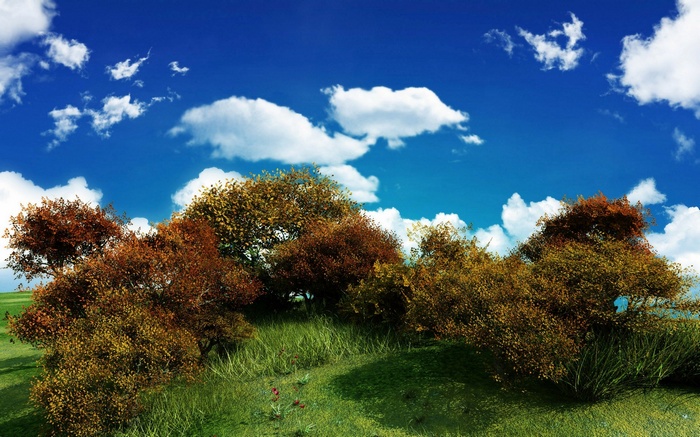Autumn trees on a grassy hill under a blue sky