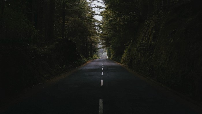 A road through a dark forest