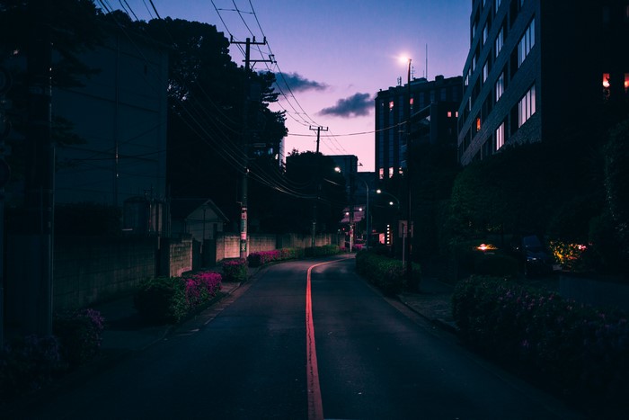 Street in Japan at Dusk