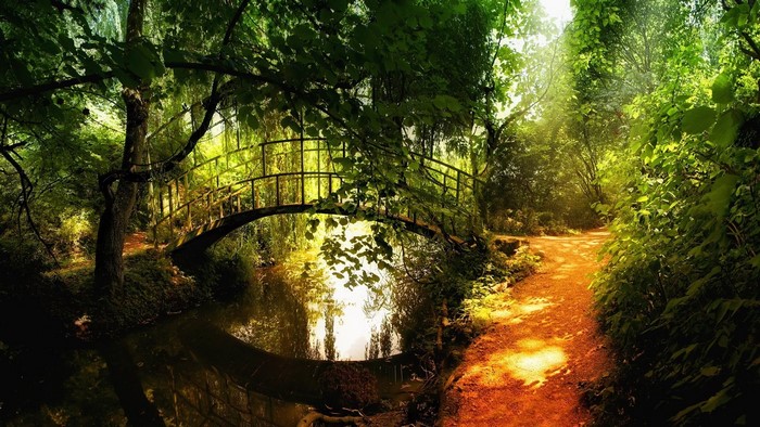 A scenic park with a bridge over a stream
