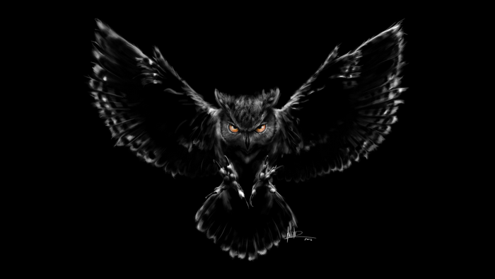 Symmetrical Owl with Yellow Eyes