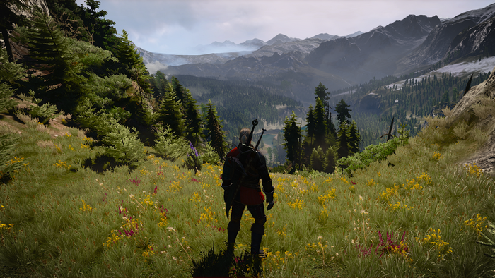 Geralt of Rivia from The Witcher 3: Wild Hunt