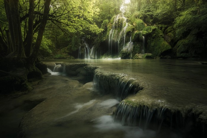 Waterfall cascading over mossy rocks in a lush forest
