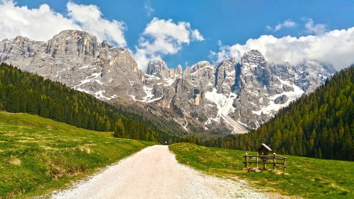 Dirt road leading to snow-capped mountains and pine forest
