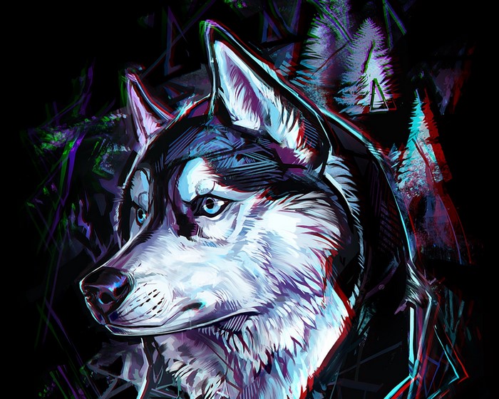 Digital Painting of Siberian Husky Portrait