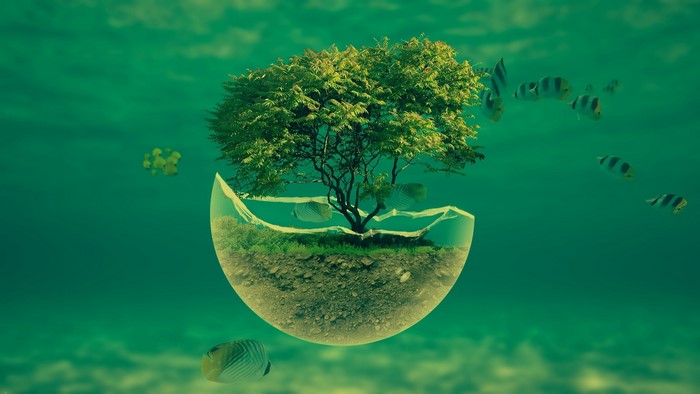 Underwater ecosystem with tree and fish
