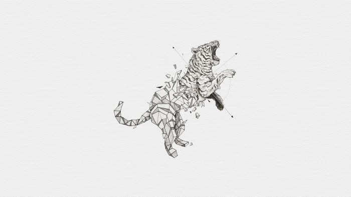 Geometric Tiger Roaring and Exploding