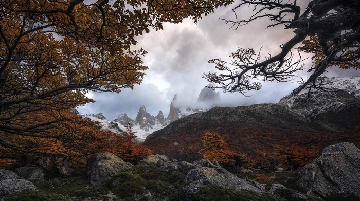 Autumn trees frame jagged mountains under cloudy sky