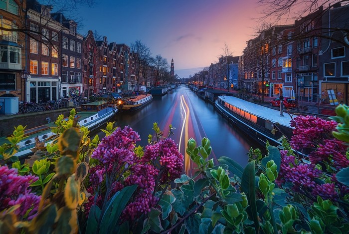 Amsterdam canal at dusk with flowers in foreground
