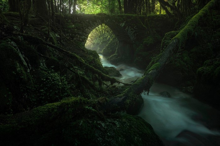 Moss-covered stone bridge over a river in a dark forest