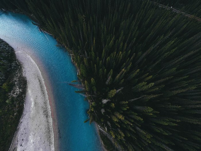Aerial view of a river flowing through a forest
