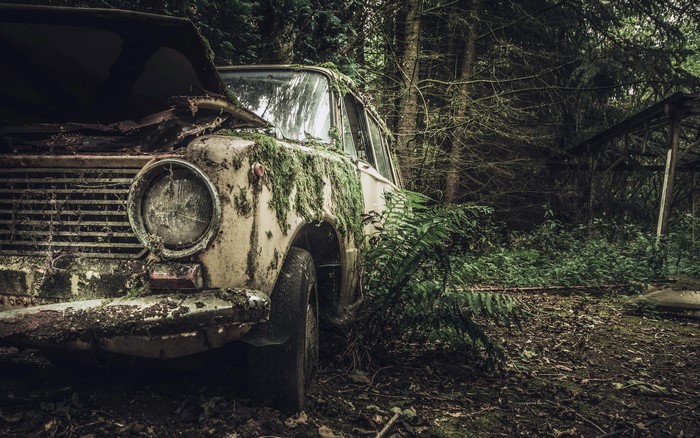 Abandoned Lada car covered in moss in a forest
