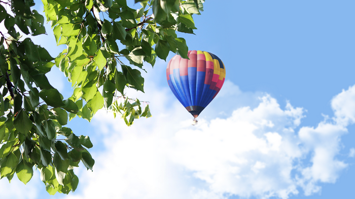 Hot air balloon flying in the sky with leaves