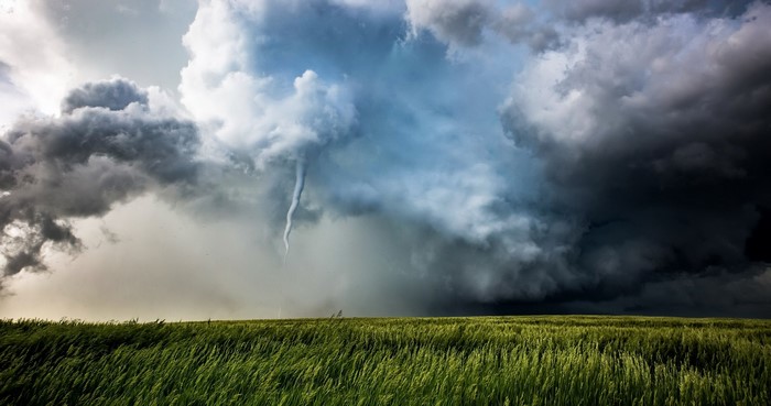 Tornado forming in a stormy sky over a green field