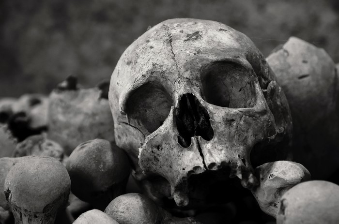 Monochrome close-up of a human skull among bones