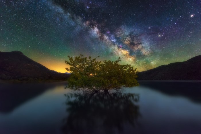 Milky Way over a tree in a lake at night