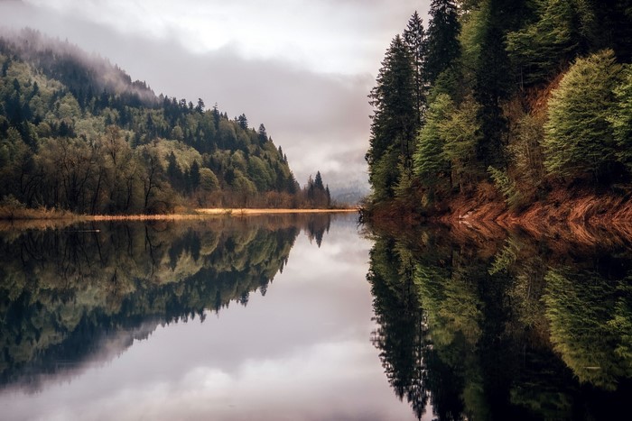 Misty forest reflected in a calm lake