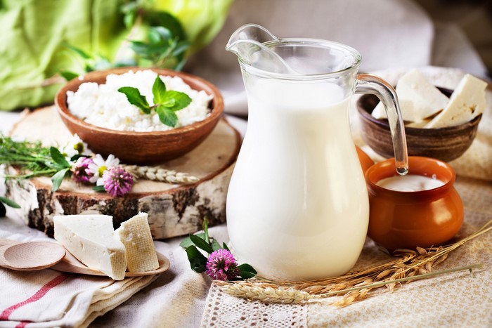 Still life with milk, cheese, and cottage cheese