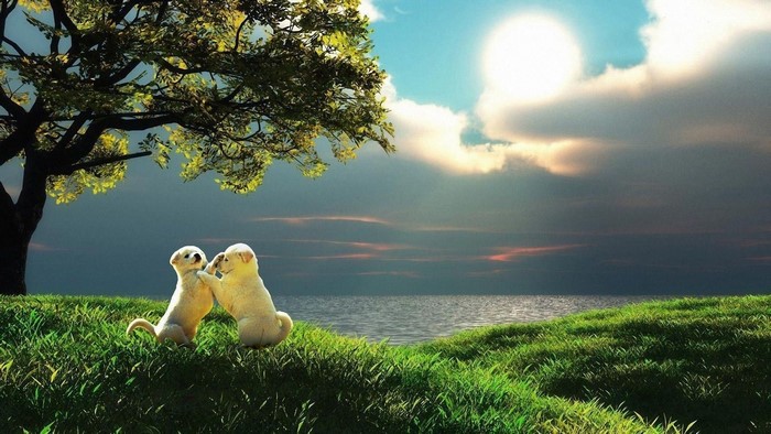 Two puppies playing under a tree by the sea