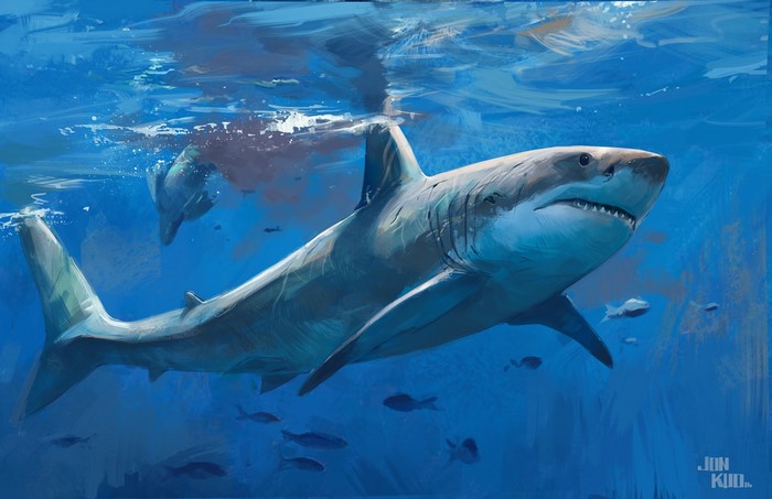 Artwork of a great white shark swimming underwater