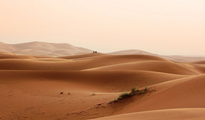 Desert dunes with two figures on a camel