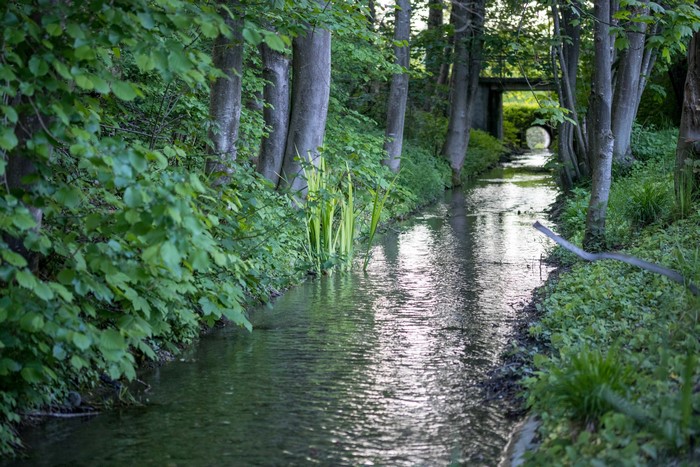 Nature scene with a stream and trees