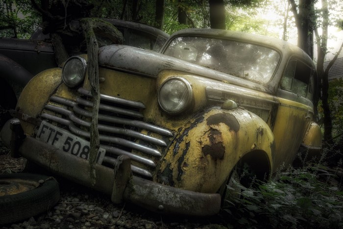 Abandoned yellow car with license plate FTF 508 in forest