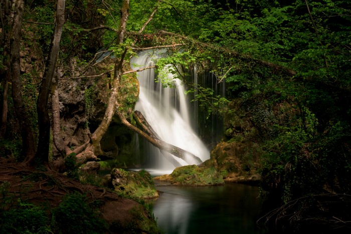 4K forest waterfall in nature