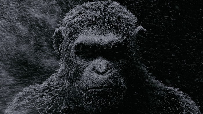 Caesar from War for the Planet of the Apes