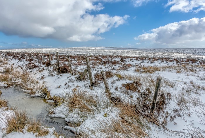 Winter landscape with snow-covered ground and a wooden fence