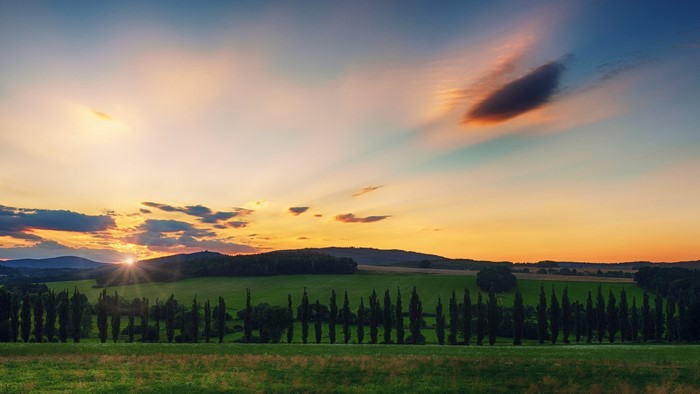 Sunset over rolling hills with a line of trees