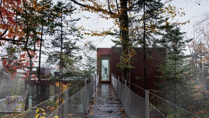 Modern architecture in a forest during fall