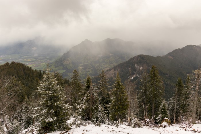 Mountains and trees with snow