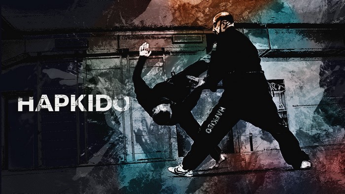 Hapkido martial arts demonstration