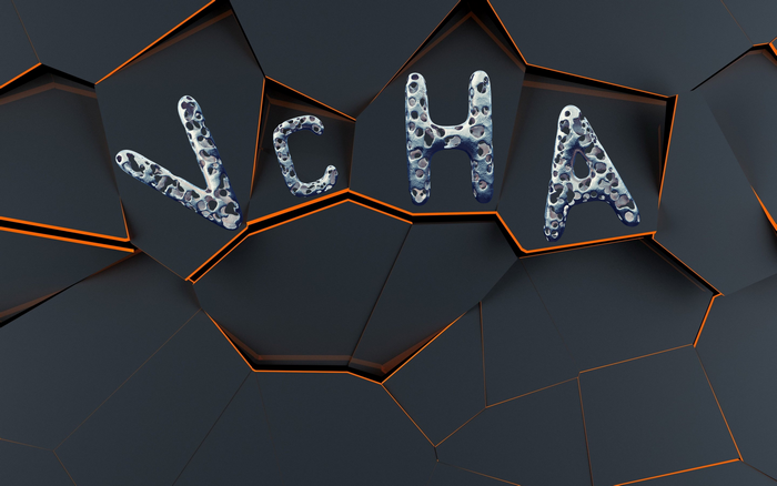 VCHA typography on a dark fractured background
