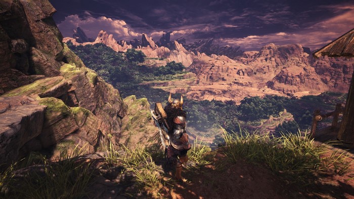 Monster Hunter: World character overlooking a rocky landscape