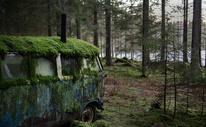 Moss-covered van abandoned in a forest