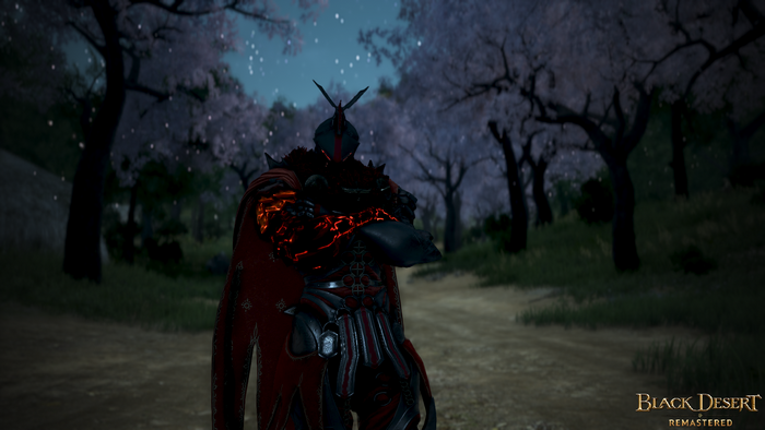 Ninja from Black Desert Online