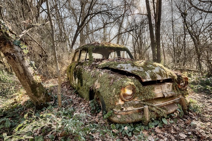 Moss-covered abandoned car in a forest