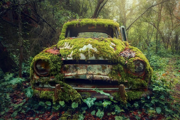 Moss-covered abandoned car in a forest