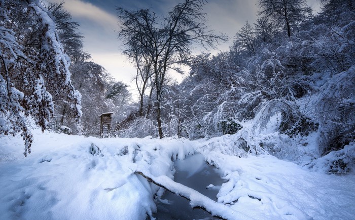 Snow-covered forest with a frozen stream and a hunting blind