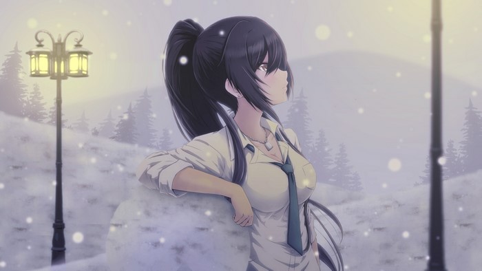 Anime girl with dark hair in winter with lanterns
