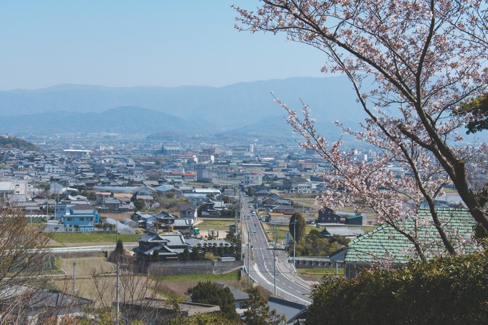 Townscape in Japan with Cherry Blossoms and Mountains