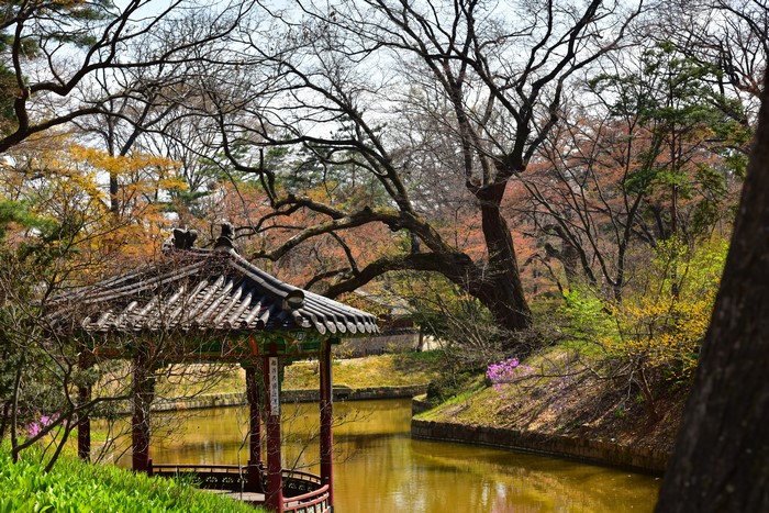 Korean pavilion by a pond in a park