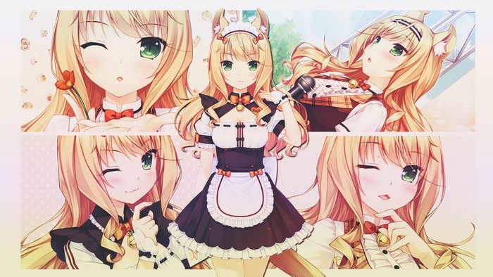 Maple from Neko Para